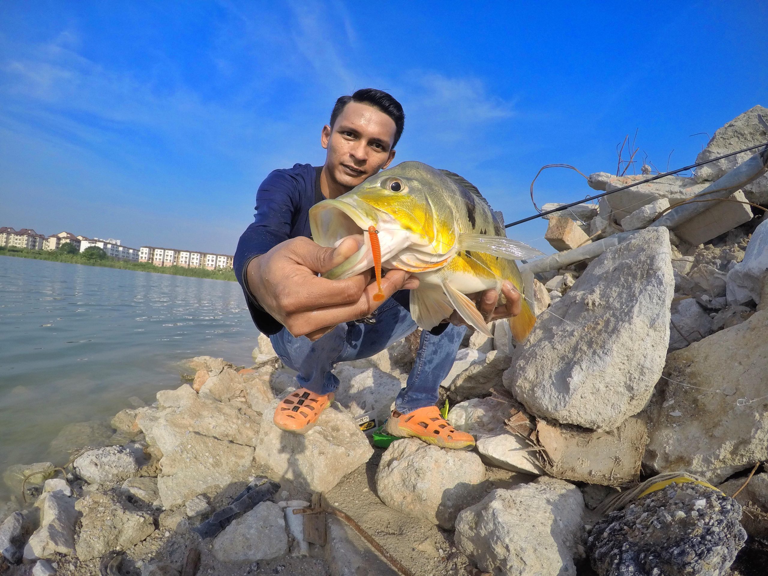 wawan-peacock-bass-kanicen-nix-sailang-grenti-strike