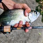 GRENTI STRIKE GELI GELI photo review