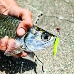 GRENTI STRIKE GELI GELI photo review