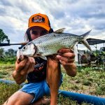 GRENTI STRIKE GELI GELI photo review