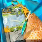 GRENTI STRIKE GELI GELI photo review