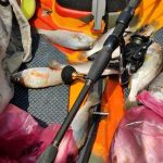 GRENTI STRIKE GELI GELI photo review