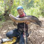 GRENTI STRIKE CILOK-CILOK SINKING MINNOW (HANDMADE) photo review