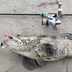 GRENTI STRIKE GELI GELI photo review