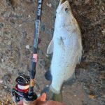 GRENTI STRIKE GELI GELI photo review