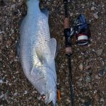 GRENTI STRIKE GELI GELI photo review