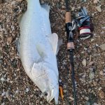 GRENTI STRIKE GELI GELI photo review