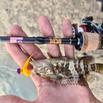 GRENTI STRIKE GELI GELI photo review